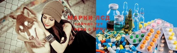 индика Абдулино