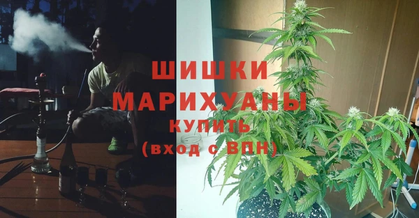 индика Абдулино